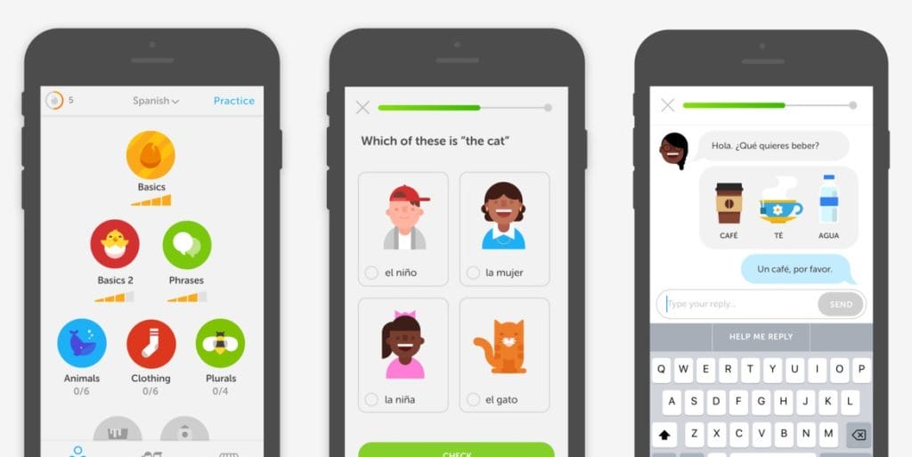 Duolingo lisans
